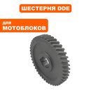 Шестерня редуктора DDE GD52-200 /GD65-300 выходного вала